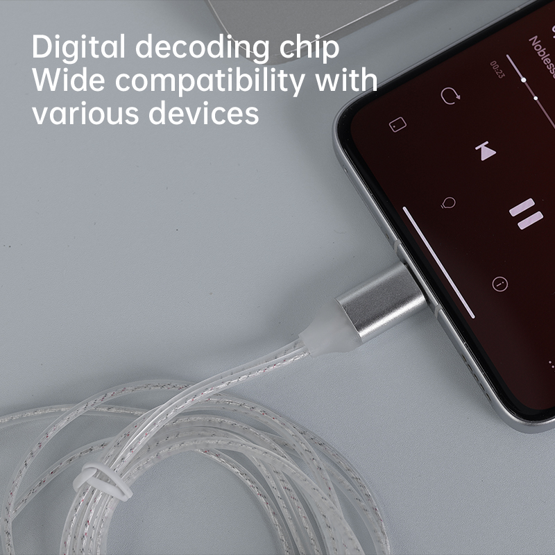 CCA C1 Type-c Silver Plated Ea - Usb C Earphone 리뷰 및 가격