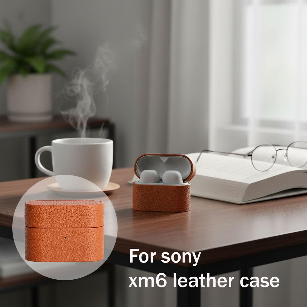 Genuine Leather Fine Grain Cas - Earphone Foam Tip 리뷰 및 가격