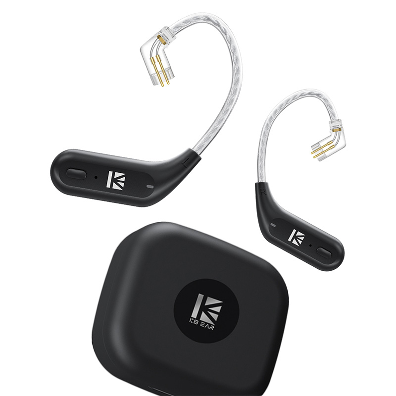 IEM Bluetooth Earhook Adapter  - In Ear Monitor Iem 리뷰 및 가격