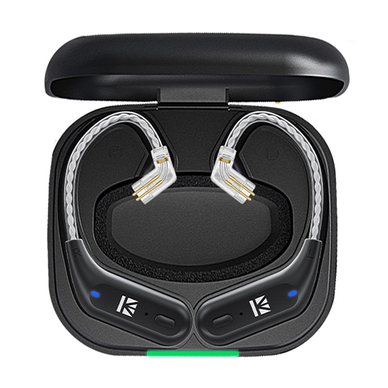 IEM Bluetooth Earhook Adapter  - In Ear Monitor Iem 리뷰 및 가격